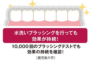 最近培養実験 未処理のものに比べ、ピカッシュ抗菌処理されたものは細菌を抑制します