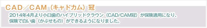 ハイブリッドクラウン（CAD/CAM冠）