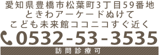 愛知県豊橋市松葉町3丁目59番地 訪問診療可
